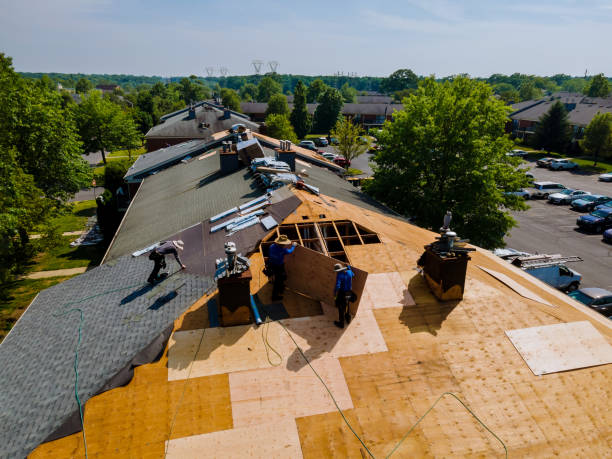 Best Roof Maintenance Services  in Edgemont Park, MI