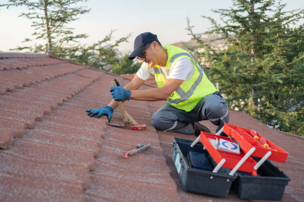 Residential Roof Replacement in Edgemont Park, MI