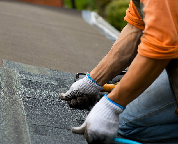Best New Roof Installation  in Edgemont Park, MI